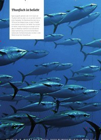 Titelbild der Ausgabe 4/2022 von Thunfisch ist beliebt. Zeitschriften als Abo oder epaper bei United Kiosk online kaufen.