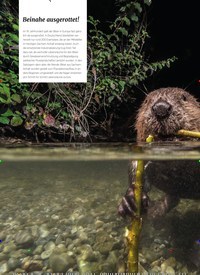 Titelbild der Ausgabe 5/2022 von Beinahe ausgerottet!. Zeitschriften als Abo oder epaper bei United Kiosk online kaufen.