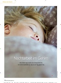 Titelbild der Ausgabe 10/2013 von Nachtarbeit im Gehirn. Zeitschriften als Abo oder epaper bei United Kiosk online kaufen.