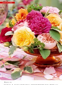 Titelbild der Ausgabe 7/2013 von Rote Rosen. Zeitschriften als Abo oder epaper bei United Kiosk online kaufen.