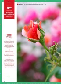 Titelbild der Ausgabe 6/2021 von ÖKO-TEST Magazin. Diese Zeitschrift und viele weitere Wirtschaftsmagazine und Politikmagazine als Abo oder epaper bei United Kiosk online kaufen.