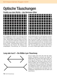 Titelbild der Ausgabe 17/2008 von Optische Täuschungen. Zeitschriften als Abo oder epaper bei United Kiosk online kaufen.