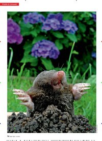 Titelbild der Ausgabe 3/2015 von Politik & Umwelt: Leichte Blumenerden: Schwere Kost. Zeitschriften als Abo oder epaper bei United Kiosk online kaufen.