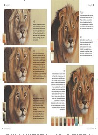 Titelbild der Ausgabe 46/2019 von Safari. Zeitschriften als Abo oder epaper bei United Kiosk online kaufen.