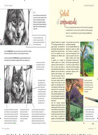 Titelbild der Ausgabe 35/2019 von Crayon à papier: Loup gris en hiver. Zeitschriften als Abo oder epaper bei United Kiosk online kaufen.