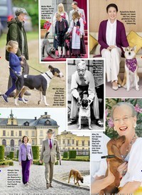 Titelbild der Ausgabe 2/2020 von ANDY ENGLERTS ROYALE WELT; DIE KÖNIGLICHE PFOTENBANDE. Zeitschriften als Abo oder epaper bei United Kiosk online kaufen.