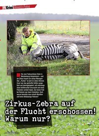 Titelbild der Ausgabe 6/2020 von Zirkus-Zebra auf der Flucht erschossen! Warum nur?. Zeitschriften als Abo oder epaper bei United Kiosk online kaufen.