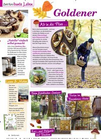 Titelbild der Ausgabe 11/2020 von Zeit fürs bunte Leben: Goldener Herbst im Wald. Zeitschriften als Abo oder epaper bei United Kiosk online kaufen.