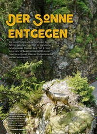 Titelbild der Ausgabe 8/2019 von Der Sonne entgegen. Zeitschriften als Abo oder epaper bei United Kiosk online kaufen.