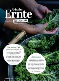 Titelbild der Ausgabe 1/2020 von Frische Ernte: Dieses Mal: GRÜNKOHL Saison: November bis Februar. Zeitschriften als Abo oder epaper bei United Kiosk online kaufen.