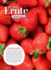 Titelbild der Ausgabe 3/2020 von Frische Ernte. Zeitschriften als Abo oder epaper bei United Kiosk online kaufen.