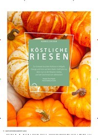 Titelbild der Ausgabe 6/2020 von KÜRBIS-SAISON: KÖSTLICHE RIESEN. Zeitschriften als Abo oder epaper bei United Kiosk online kaufen.