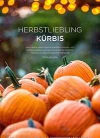 Titelbild der Ausgabe 6/2022 von HERBSTLIEBLING KÜRBIS. Zeitschriften als Abo oder epaper bei United Kiosk online kaufen.