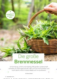 Titelbild der Ausgabe 2/2022 von Die große Brennnessel. Zeitschriften als Abo oder epaper bei United Kiosk online kaufen.