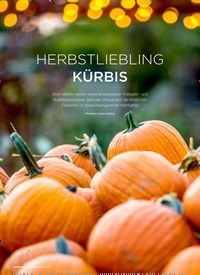 Titelbild der Ausgabe 5/2022 von HERBSTLIEBLING KÜRBIS. Zeitschriften als Abo oder epaper bei United Kiosk online kaufen.