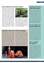Titelbild der Ausgabe 5/2019 von Unsere Bäume der Nachwelt erhalten. Zeitschriften als Abo oder epaper bei United Kiosk online kaufen.
