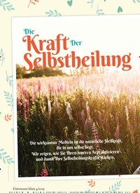 Titelbild der Ausgabe 4/2019 von Die Kraft Der Selbstheilung. Zeitschriften als Abo oder epaper bei United Kiosk online kaufen.
