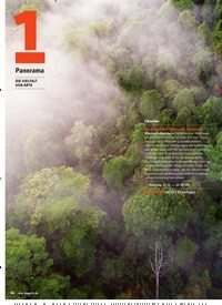 Titelbild der Ausgabe 11/2022 von DIE VIELFALT VON ARTE. Zeitschriften als Abo oder epaper bei United Kiosk online kaufen.