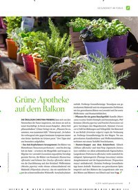 Titelbild der Ausgabe 4/2018 von GESUNDHEIT IM FOKUS: Grüne Apotheke auf dem Balkon. Zeitschriften als Abo oder epaper bei United Kiosk online kaufen.