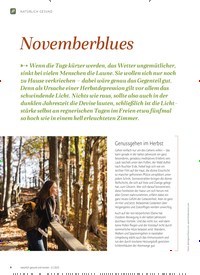 Titelbild der Ausgabe 6/2023 von Novemberblues. Zeitschriften als Abo oder epaper bei United Kiosk online kaufen.