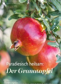 Titelbild der Ausgabe 6/2023 von Paradiesisch heilsam: Der Granatapfel. Zeitschriften als Abo oder epaper bei United Kiosk online kaufen.