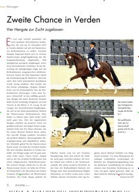 Titelbild der Ausgabe 1/2020 von Zweite Chance in Verden. Zeitschriften als Abo oder epaper bei United Kiosk online kaufen.