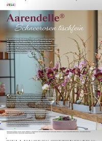Titelbild der Ausgabe 1/2022 von Aarendelle ® Schneerosen tischfein. Zeitschriften als Abo oder epaper bei United Kiosk online kaufen.