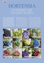 Titelbild der Ausgabe 2/2022 von HORTENSIA. Zeitschriften als Abo oder epaper bei United Kiosk online kaufen.