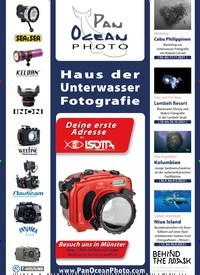 Titelbild der Ausgabe 80/2021 von BLANCPAIN RUFT DEN FOTOPREIS »FEMALE FIFTY FATHOMS AWARD« INS LEBEN. Zeitschriften als Abo oder epaper bei United Kiosk online kaufen.