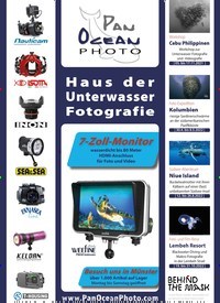Titelbild der Ausgabe 100/2021 von AUFSCHREI DER MEERE. Zeitschriften als Abo oder epaper bei United Kiosk online kaufen.