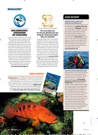 Titelbild der Ausgabe 20/2022 von HAIE IN BRASILIEN. Zeitschriften als Abo oder epaper bei United Kiosk online kaufen.