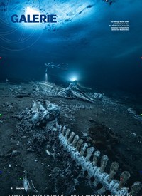 Titelbild der Ausgabe 80/2022 von Ungeblitzt …. Zeitschriften als Abo oder epaper bei United Kiosk online kaufen.