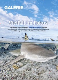 Titelbild der Ausgabe 110/2022 von Vielfalt im Fokus. Zeitschriften als Abo oder epaper bei United Kiosk online kaufen.