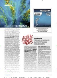 Titelbild der Ausgabe 60/2023 von EINE MILLION HEKTAR SEETANGWÄLDER .... Zeitschriften als Abo oder epaper bei United Kiosk online kaufen.