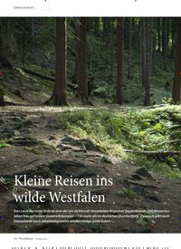 Titelbild der Ausgabe 2/2022 von Kleine Reisen ins wilde Westfalen. Zeitschriften als Abo oder epaper bei United Kiosk online kaufen.
