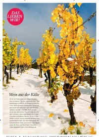 Titelbild der Ausgabe 1/2019 von DAS LIEBEN WIR!. Zeitschriften als Abo oder epaper bei United Kiosk online kaufen.
