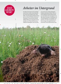Titelbild der Ausgabe 2/2020 von DAS LIEBEN WIR!: Arbeiter im Untergrund. Zeitschriften als Abo oder epaper bei United Kiosk online kaufen.