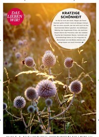 Titelbild der Ausgabe 4/2022 von DAS LIEBEN WIR!. Zeitschriften als Abo oder epaper bei United Kiosk online kaufen.