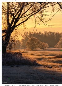 Titelbild der Ausgabe 6/2023 von WINTERMORGEN IM ELBVORLAND. Zeitschriften als Abo oder epaper bei United Kiosk online kaufen.