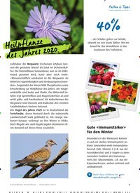 Titelbild der Ausgabe 12/2019 von Heilpflanze des Jahres 2020. Zeitschriften als Abo oder epaper bei United Kiosk online kaufen.