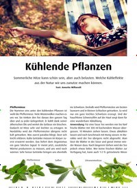 Titelbild der Ausgabe 8/2020 von Naturheilkunde & Medizin: Kühlende Pflanzen. Zeitschriften als Abo oder epaper bei United Kiosk online kaufen.