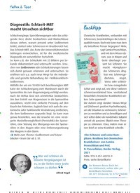 Titelbild der Ausgabe 10/2021 von Fibromyalgie: Symptome ändern sich im Alter. Zeitschriften als Abo oder epaper bei United Kiosk online kaufen.