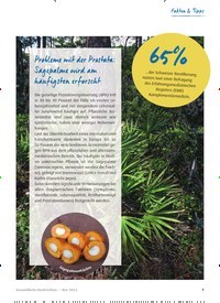 Titelbild der Ausgabe 5/2022 von Probleme mit der Prostata: Sägepalme wird am häufigsten erforscht. Zeitschriften als Abo oder epaper bei United Kiosk online kaufen.