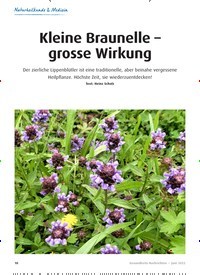 Titelbild der Ausgabe 6/2022 von Kleine Braunelle – grosse Wirkung. Zeitschriften als Abo oder epaper bei United Kiosk online kaufen.