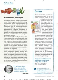 Titelbild der Ausgabe 11/2022 von Schleichender Jodmangel. Zeitschriften als Abo oder epaper bei United Kiosk online kaufen.