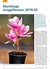 Titelbild der Ausgabe 2/2020 von Marktlage Jungpflanzen 2019/20. Zeitschriften als Abo oder epaper bei United Kiosk online kaufen.