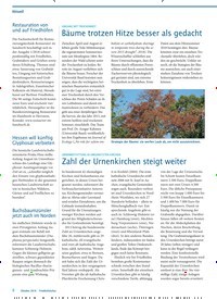 Titelbild der Ausgabe 10/2018 von UMGANG MIT TROCKENHEIT : Bäume trotzen Hitze besser als gedacht. Zeitschriften als Abo oder epaper bei United Kiosk online kaufen.