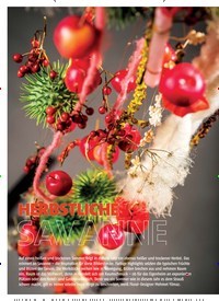 Titelbild der Ausgabe 10/2018 von HERBSTLICHE SAVANNE. Zeitschriften als Abo oder epaper bei United Kiosk online kaufen.