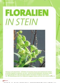 Titelbild der Ausgabe 5/2019 von FLORALIEN IN STEIN. Zeitschriften als Abo oder epaper bei United Kiosk online kaufen.