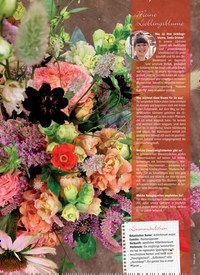 Titelbild der Ausgabe 8/2022 von Meine Lieblingsblume. Zeitschriften als Abo oder epaper bei United Kiosk online kaufen.